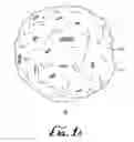 Fig. 02 - Cleansing pad