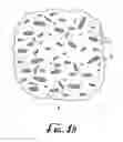 Fig. 03 - Cleansing pad