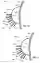 Fig. 07 - Golf club head cleaner