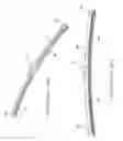 Fig. 05 - Windshield wiper structure for vehicles