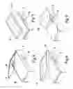 Fig. 08 - Belt buckle