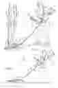 Fig. 02 - Cutting apparatus
