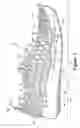 Fig. 02 - Article of footwear having an upper with a matrix layer