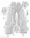 Fig. 06 - Article of footwear having an upper with a matrix layer