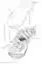 Fig. 01 - Article of footwear