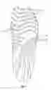 Fig. 03 - Article of footwear