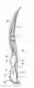 Fig. 01 - Sole structure for a shoe