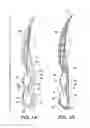 Fig. 02 - Sole structure for a shoe