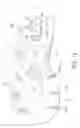 Fig. 13 - Footwear sole