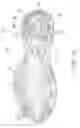 Fig. 14 - Footwear sole