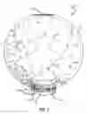 Fig. 02 - Visual display