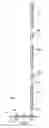 Fig. 11 - Device for supporting plants and related method