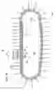 Fig. 08 - Fabricating a self-supporting filter element