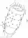 Fig. 08 - Combustion unit for turbocharger