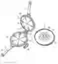 Fig. 01 - Multipurpose waffle iron set