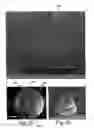 Fig. 06 - Force sensing integrated readout and active tip based probe microscope systems
