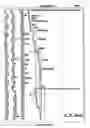 Fig. 08 - Gravity-fed in-line continuous processing system and method