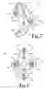 Fig. 04 - Flexible animal training electrode assembly