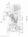 Fig. 05 - Engine for leisure vehicle