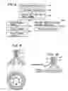 Fig. 09 - Fuel injection valve