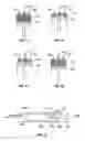 Fig. 02 - System for improving the fuel efficiency of an engine
