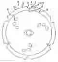 Fig. 01 - Saw blade for cutting fiber cement