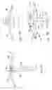 Fig. 13 - Nasal and oral cannula having two capabilities and method of producing same