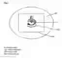 Fig. 02 - System and methods for the treatment of retinal diseases
