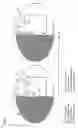 Fig. 06 - System and methods for the treatment of retinal diseases