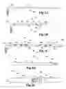 Fig. 02 - Modular system including shaft segments having configuration and breakdown attachments