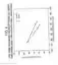 Fig. 09 - MULTI-PLY ABSORBENT PAPER PRODUCT HAVING IMPRESSED PATTERN