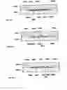 Fig. 29 - Expandable tubular