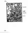 Fig. 41 - Expandable tubular