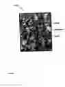Fig. 44 - Expandable tubular