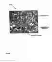 Fig. 46 - Expandable tubular