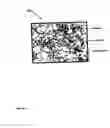 Fig. 47 - Expandable tubular