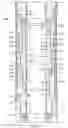 Fig. 05 - Downhole steering tool having a non-rotating bendable section