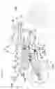 Fig. 02 - Vehicle body structure of motorcycle