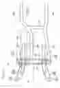Fig. 12 - Vehicle body structure of motorcycle