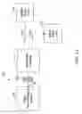 Fig. 06 - Composition and therapeutic uses thereof