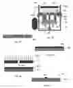 Fig. 13 - Methods of and apparatus for making high aspect ratio microelectromechanical structures