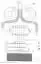 Fig. 12 - Multipack and blank and apparatus for the manufacture thereof