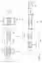 Fig. 13 - Multipack and blank and apparatus for the manufacture thereof