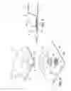 Fig. 04 - Blister pack assemblies with lenticular lenses