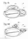 Fig. 12 - Compartment plates having themes and method for manufacturing and packaging the same