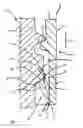Fig. 02 - Cap arrangements