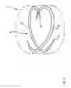 Fig. 11 - Cap arrangements