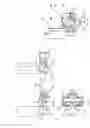 Fig. 23 - Two disc valve pump assembly for a fluid dispenser