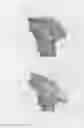 Fig. 03 - Sustained duration non-aerosol mechanical sprayer with a charging element load bearing surface