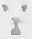 Fig. 06 - Sustained duration non-aerosol mechanical sprayer with a charging element load bearing surface